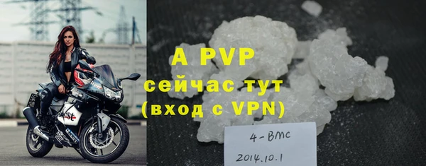 спайс Семёнов