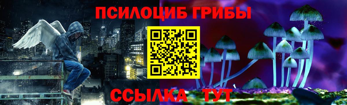 Галлюциногенные грибы Cubensis  Псилоцибиновые грибы мицелий  Карасук  Вход с VPN 